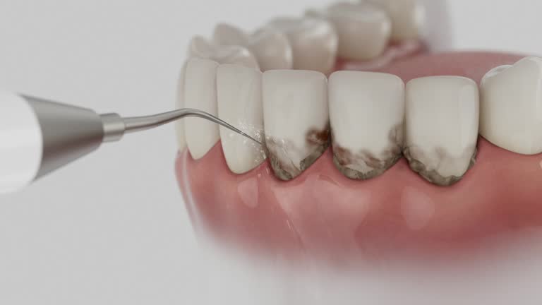 Reliable Dental contractor in Merrillville, IN by Dentist Open Now
